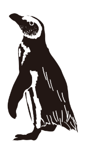 ペンギン イラスト