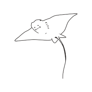 エイ イラスト