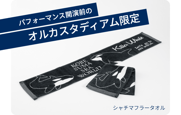 パフォーマンス開演前のオルカスタディアム限定